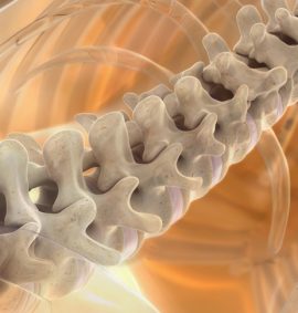 Ендоскопічна хірургія хребта