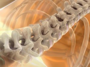 Ендоскопічна хірургія хребта