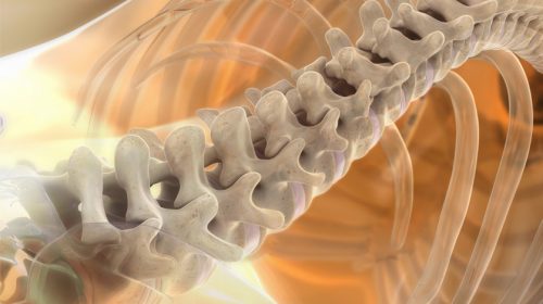 Ендоскопічна хірургія хребта